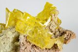 Orange Wulfenite and Botryoidal Mimetite - La Morita Mine, Mexico #183934-3